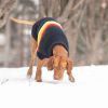 GF Pet Retro Sweater - Navy - L