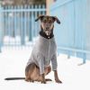 GF Pet Gondola Base Layer - Charcoal - 3XL