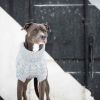 GF Pet Chalet Sweater - Grey - L