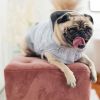 GF Pet Urban Hoodie - Heather Grey - M