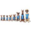 GF Pet Elasto-Fit Ice Vest - Aqua - M