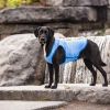 GF Pet Elasto-Fit Ice Vest - Aqua - M