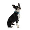 GF PET Reflective Collar - Neon Blue - L