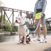 GF Pet Reflective Leash - EEZY-6 - Neon Blue - M/L