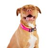 GF PET Reflective Collar - Neon Pink - L WIDE