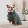 GF Pet Chalet Sweater - Sage - S