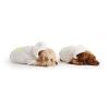 GF Pet Cozy Hoodie - White - 2XS