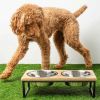 GF Pet Mango Wood & Metal Elevated Feeder - L