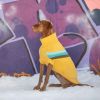 GF Pet Alpine Sweater - Yellow - S