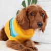 GF Pet Alpine Sweater - Yellow - S