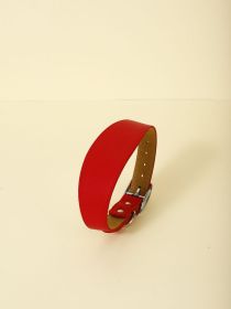 New Pet Casual Adjustable Collar (Option: Red-S)