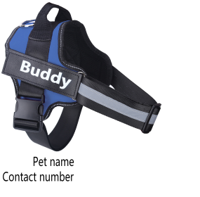 Dog Harness No Pull Reflective Breathable Adjustable Pet (Option: Blue-XS)