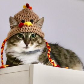 Halloween Cat Dog Knitted Pet Hat (Option: Turkey Hat-S)