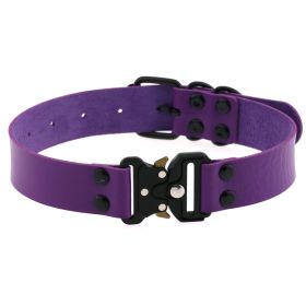 Creative Simple Release Buckle Collar Clavicle Necklace (Color: Purple)