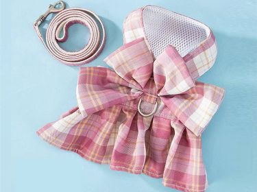 Dog Skirt Hand Holding Rope Small And Medium Pet Supplies (Option: Romantic powder dual purpose-L)