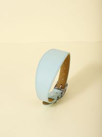 New Pet Casual Adjustable Collar (Option: Light Blue-XL)